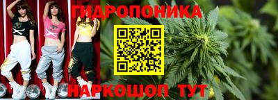 прущая мука Гай