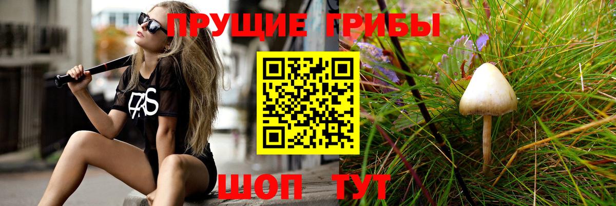 Псилоцибиновые грибы Magic Shrooms Муром